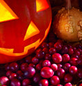 Crimson Harvest