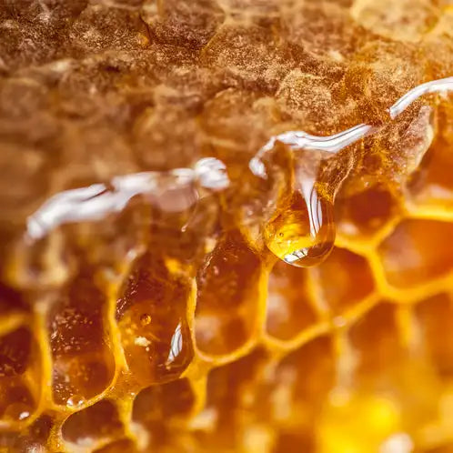 Honey