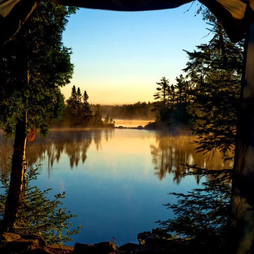 Lakeside Pine