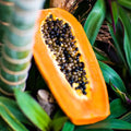 Papaya Paradise