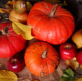 Spiced Pumpkin & Harvest Apple