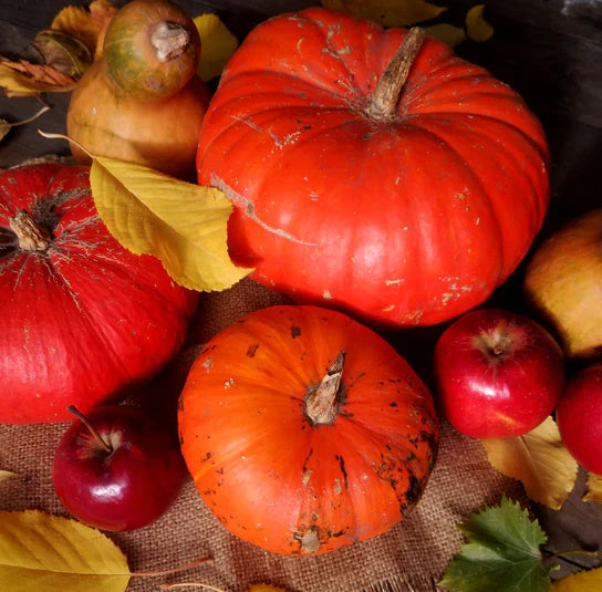 Spiced Pumpkin & Harvest Apple