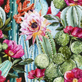 Baja Cactus Blossom