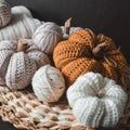 Cashmere Pumpkin