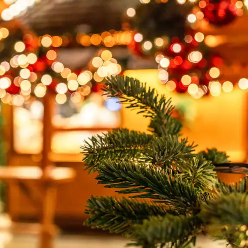 Christmas Pine