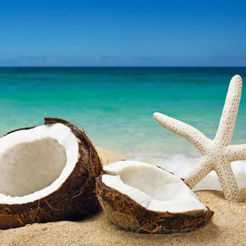Coconut Bliss
