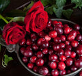 Cranberry Bloom
