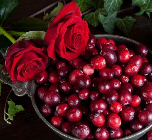 Cranberry Bloom