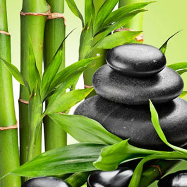 Fresh Bamboo