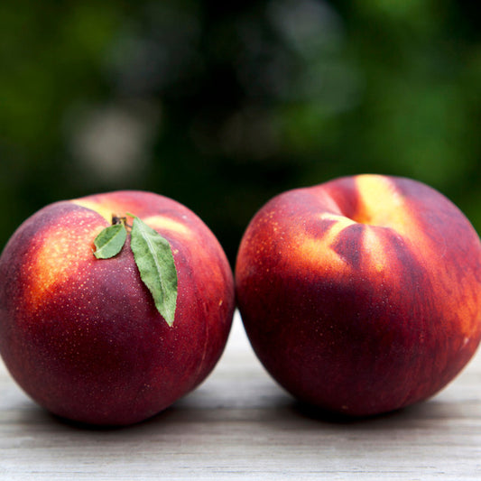 Georgia Peach
