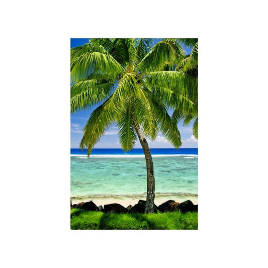 Island Fresh Gain