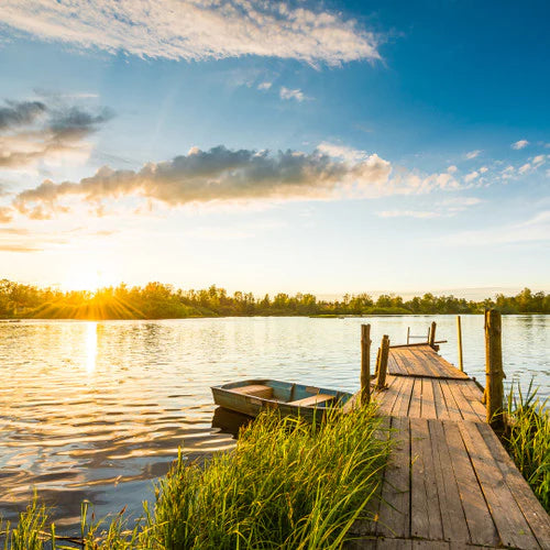 Lakeside Summer