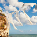 Ocean Shore Linen