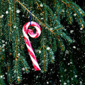 Pink Peppermint Snow
