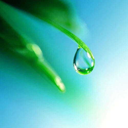 Rainwater
