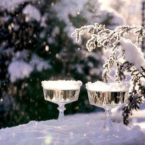Sparkling Evergreen
