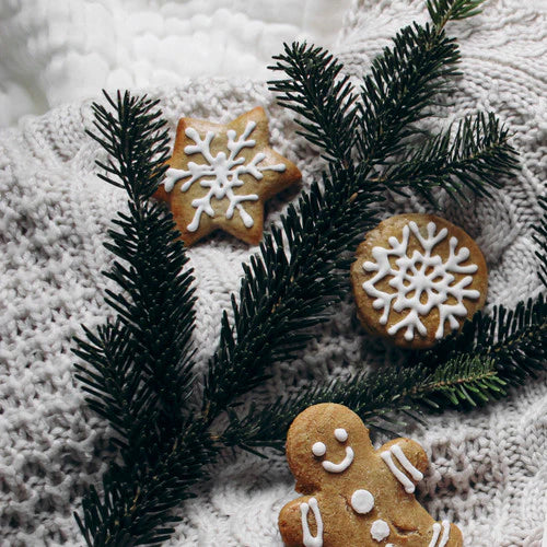 Sugared Spruce