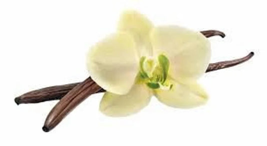 Vanilla Bean