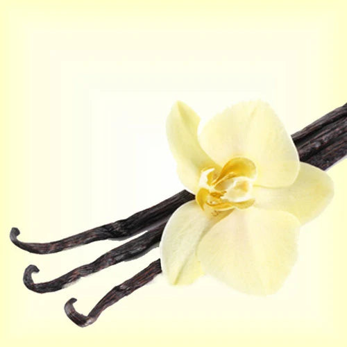 Vanilla