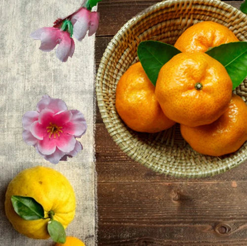 Yuzu & Satsuma