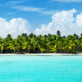 Caribbean Teakwood