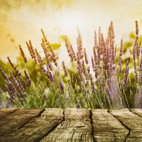 Cedar Leaf & Lavender