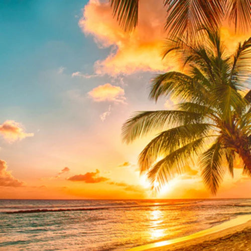 Honolulu Sun