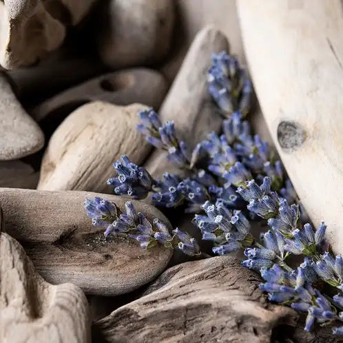 Lavender Driftwood