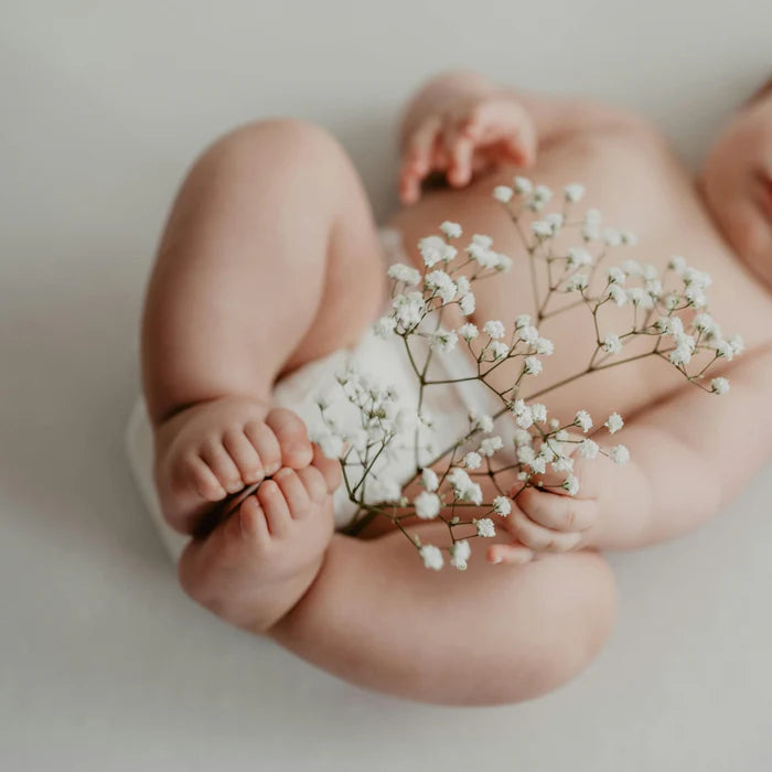 Soft Lullaby