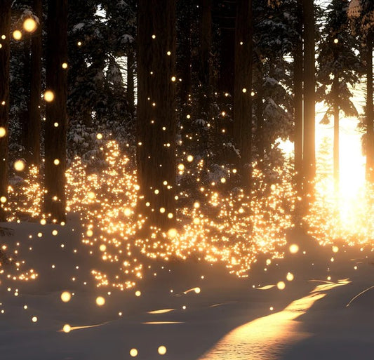 Sparkling Woods
